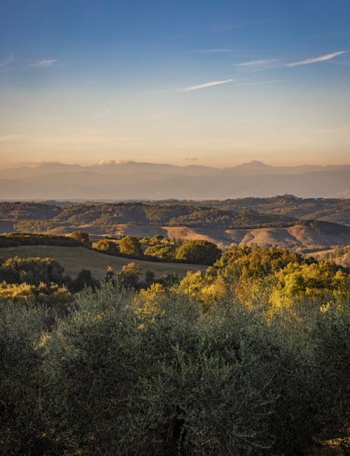 VillaPiaggia_ott_022